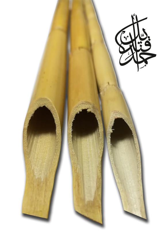 Store-Bamboo pen